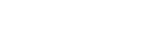Erinys logo